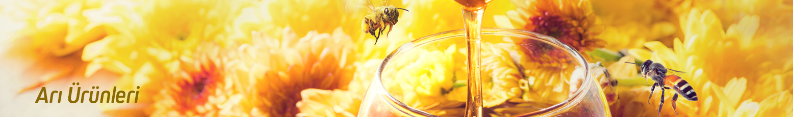 Arı Ürünlerimiz İçin Tıklayın