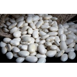 Posof Fasulyesi (Beyaz Fasulye) 1Kg